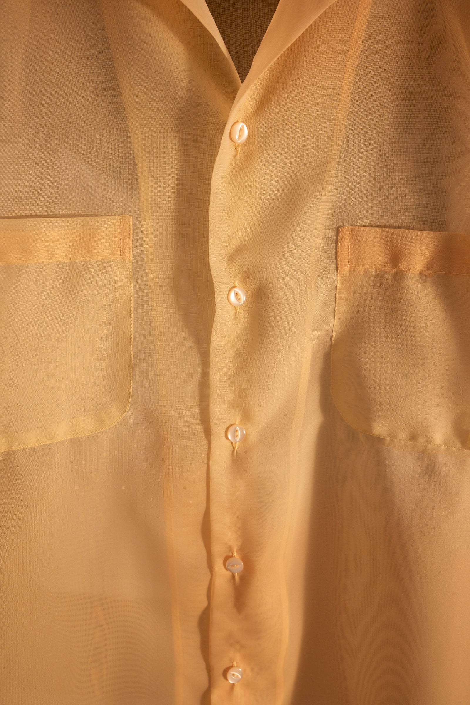 Jelly fish shirt