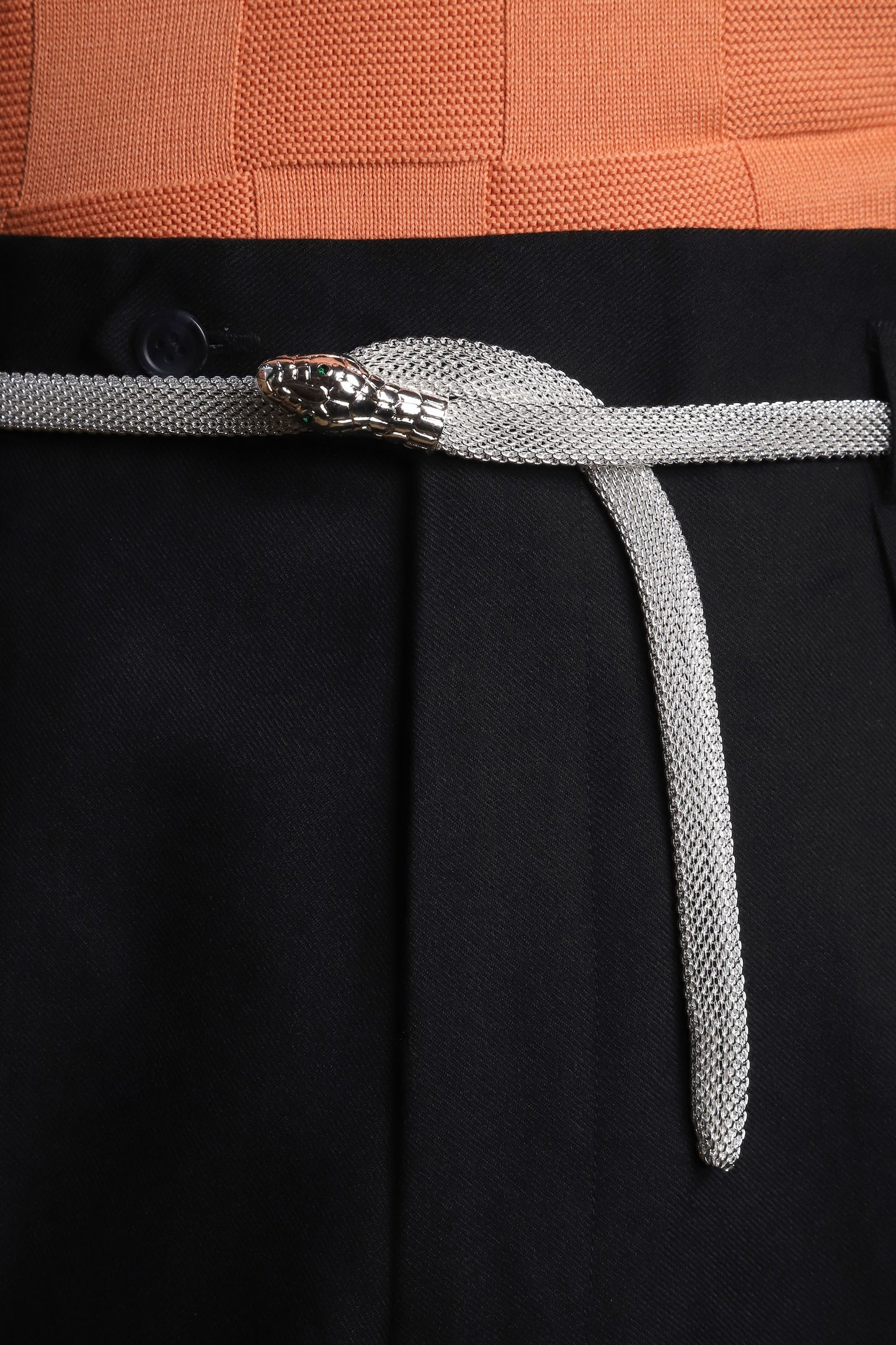 Snake belt